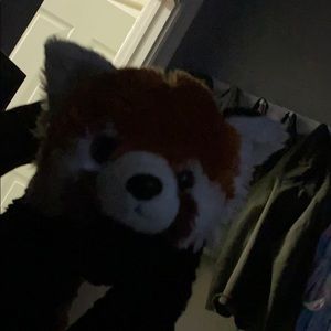 Meet your Posher, Elsa